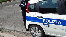 Investe e uccide una bufaletta su via Selciatella