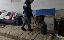 L'Isis da noi, la DDA arresta i fiancheggiatori di Anis Amri