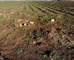 Tra i campi affiorano tracce di una necropoli