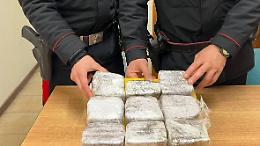 Due arresti per spaccio a Campoleone, uno percepiva il reddito di cittadinanza