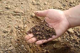 Siccità nell'agro pontino, l'Ugl: "Necessario uno sforzo maggiore"
