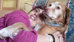 Niente cani in casa, non vedente sfrattata