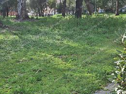 Parco Falcone e Borsellino, lo sfogo di un lettore: "Abbandonato e nel degrado"