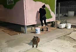 Amici del Cane, arriva il secondo open day: donato un murales