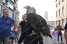 L'aquila Olimpia a Latina per il decennale della Coppa Italia della Lazio