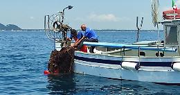 San Felice Circeo, Marevivo rimuove le reti dai fondali