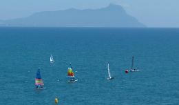 Grand Prix New Life: partecipazione record per la velata di Cethegus