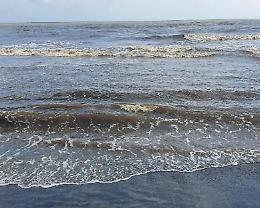 Al mare l'acqua cambia colore, è diventata marrone