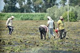Caldo e lavoro, come prevenire altri drammi