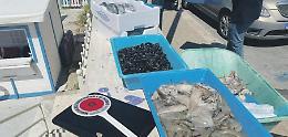 Vende pesce nella carriola,  sequestro da 55 chili