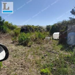 “Bomba” ambientale sepolta tra i rovi, viaggio nel sito non bonificato