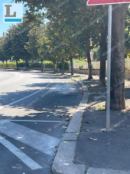 Perde il controllo dell'auto e si schianta contro l'albero, muore a 38 anni