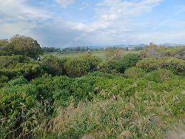Poligono nel Parco, la battuta d'arresto