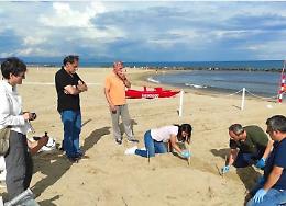 Un piano per la tutela delle Caretta caretta