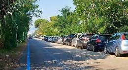 «I parcheggi? Sono sempre più blu»