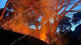 Preso mentre appicca l'incendio