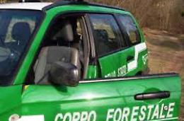 Caccia al cinghiale, l'inchiesta si allarga: c'è un altro indagato