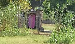 Occupazione abusiva al Parco Palatucci