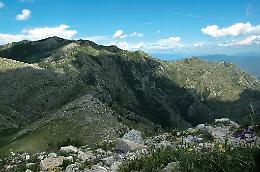 Tra i sentieri di Monte Petrella e Monte Sant'Angelo