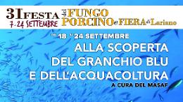 Il Masaf  presenta il granchio blu alla festa del fungo porcino di Lariano