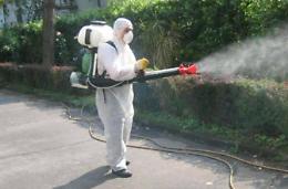 West Nile, ecco il piano delle disinfestazioni del Comune di Latina