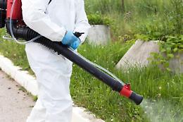 Cisterna, via a disinfestazione e derattizzazione: interventi il 29 e 30 aprile e notte adulticida