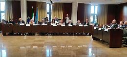 Soluzioni per la moria del kiwi, i sindaci fanno squadra
