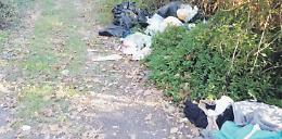 Discarica a cielo aperto nel bosco di Fossanova