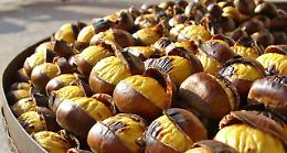 Castagne dei Monti Lepini, le sagre di cinque paesi