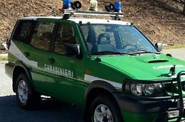 Caccia con richiami vietati e fucile rubato: condannato 