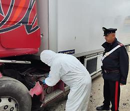 Piazzano una bomba su un mezzo di una ditta di trasporti, le indagini