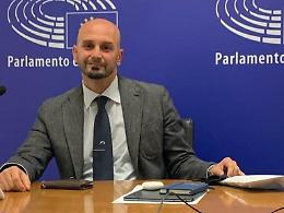 Apicoltura, Procaccini: "Investire sul miele italiano è una garanzia"