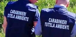 Deferiti i rappresentanti di un'azienda Agricola per inadempienze alle normative
