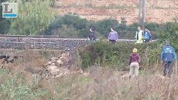 Treno investe gregge di pecore, linea ferroviaria sospesa