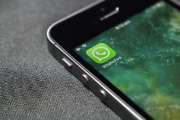 Filo diretto con i cittadini, il Comune di Aprilia attiva il canale Whatsapp