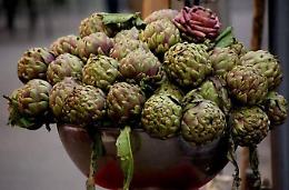 La sagra del carciofo  inserita nell'elenco regionale delle "botteghe storiche"