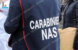 Cucine da incubo, controlli e multe in tutta la provincia