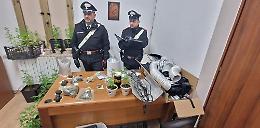 Arrestato 39enne per produzione e detenzione di sostanze stupefacenti