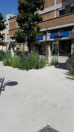 "C'è poco da esultare sulla transazione Latina Ambiente"