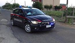 Combattimenti clandestini tra cani, denunciate due persone