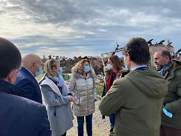 Al Karama, prosegue la bonifica. Iniziata l'installazione dei moduli