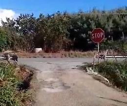 Un altro ponte da mettere in sicurezza