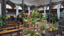 Alunni a lezione di buona alimentazione al mercatino di piazza delle Erbe