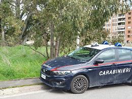 Trovato un cadavere tra gli alberi, ipotesi overdose