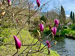 Il Giardino di Ninfa riapre al pubblico