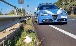 I poliziotti salvano un povero gabbiano ferito