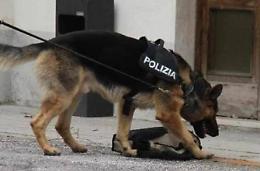 Spacciavano in casa, arrestata una coppia