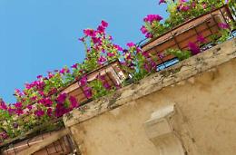 Al via la prima edizione del concorso "Balconi in fiore 2017" nella città di Pontinia