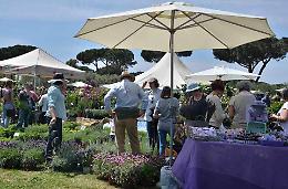 Giardinaggio, torna il flower show “Primavera alla Landriana” e la visita del parco