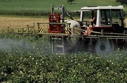 Danni all'agricoltura dopo le gelate, Secci chiede un intervento al commissario straordinario